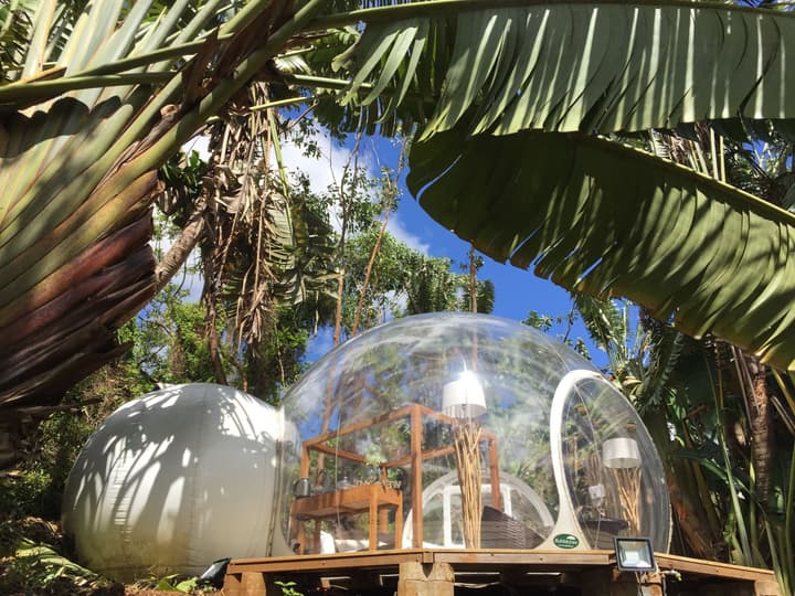 Bubble Lodge Bois Chéri