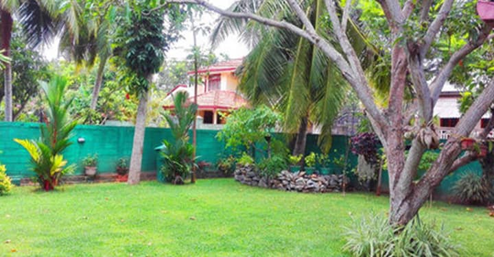 House Of Seya