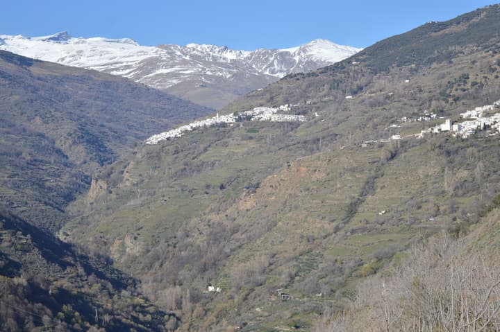 Hotel Rural Alfajía de Antonio
