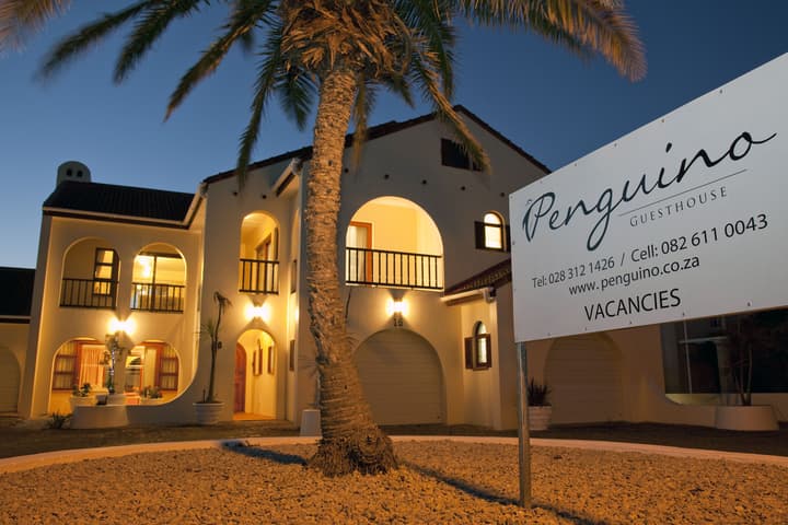 Penguino Guest House