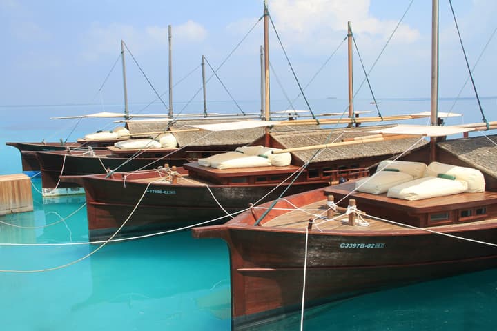 Safari Island Resort