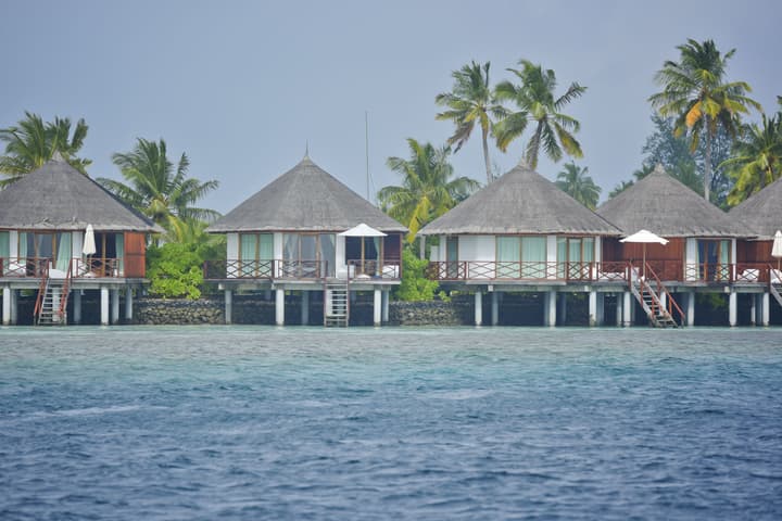 Safari Island Resort