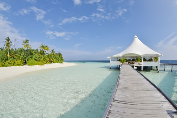 Safari Island Resort