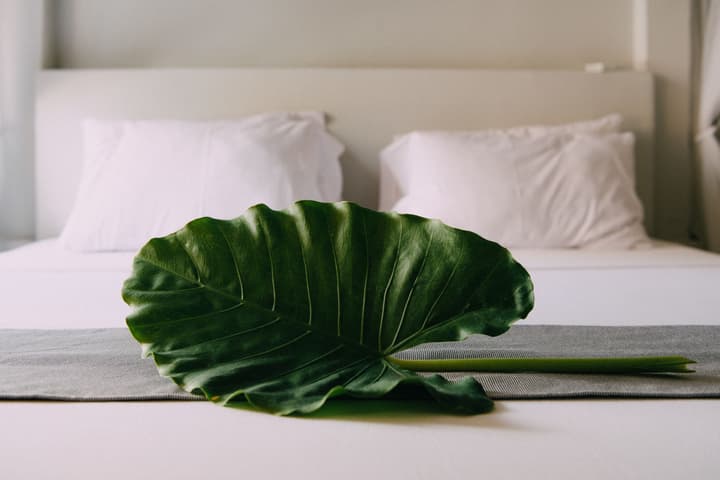 Paje Beach Apartments & Hotel