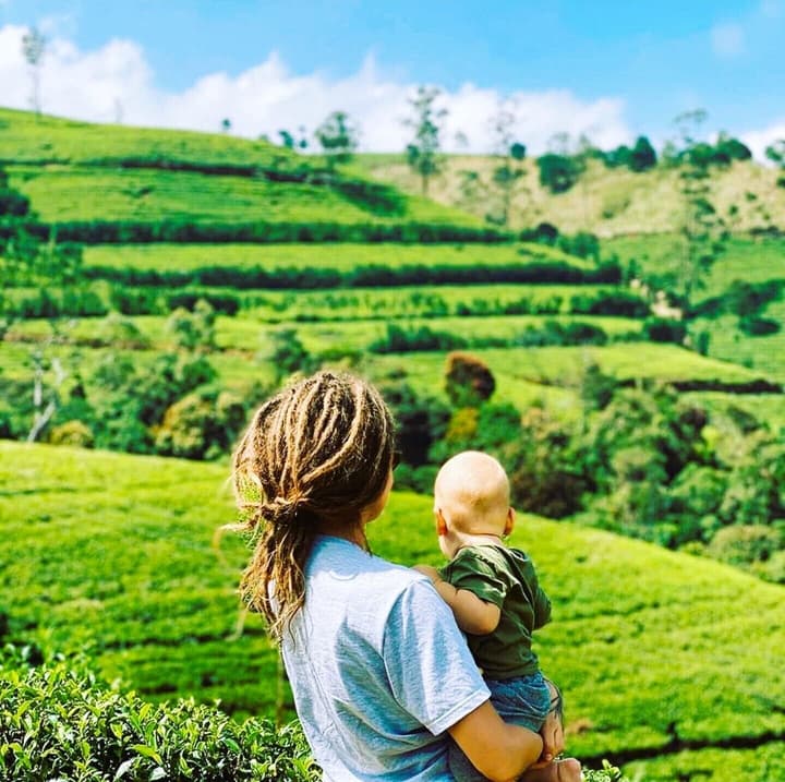 The Tea Garden