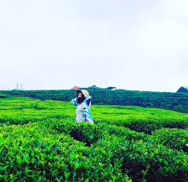 The Tea Garden