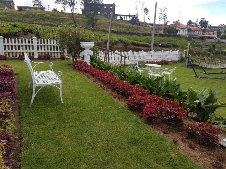 The Tea Garden