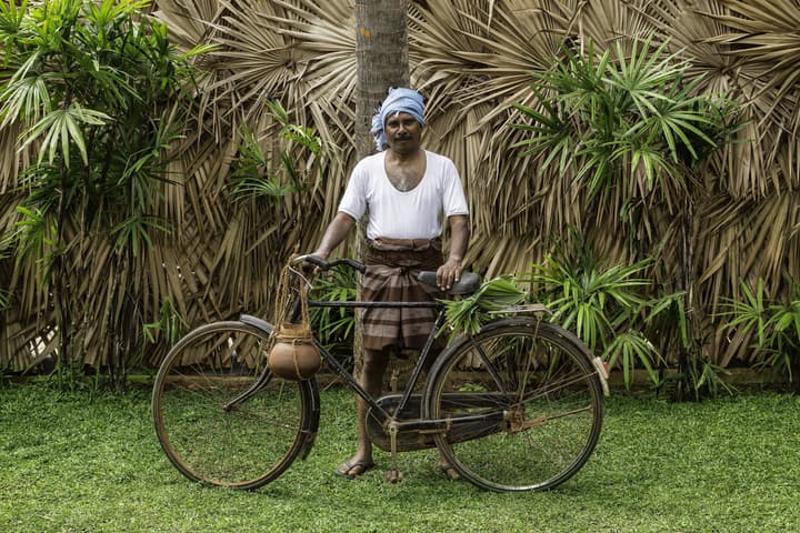 Fox Jaffna by Fox Resorts – Boutique Heritage Luxury