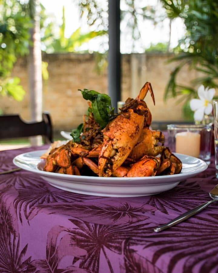 Fox Jaffna by Fox Resorts – Boutique Heritage Luxury