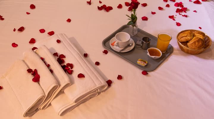 Hotel Toulousain