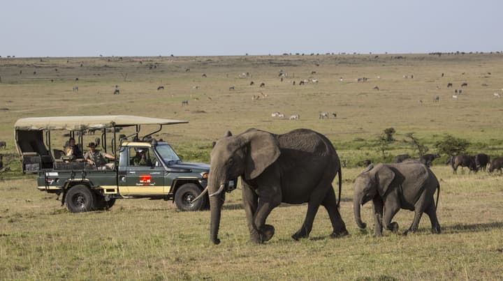 Elewana Elephant Pepper Camp