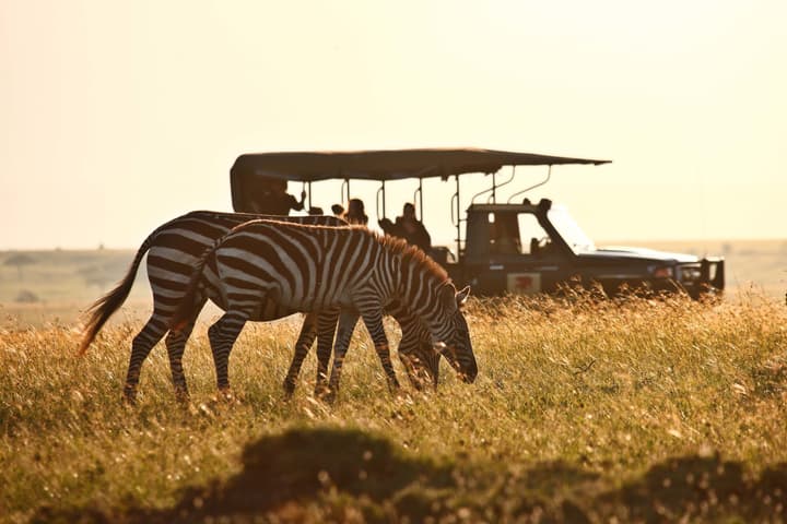 Elewana Elephant Pepper Camp