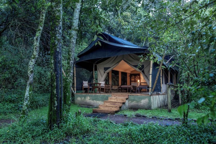 Elewana Elephant Pepper Camp