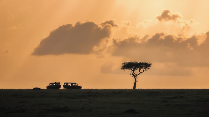 Elewana Elephant Pepper Camp