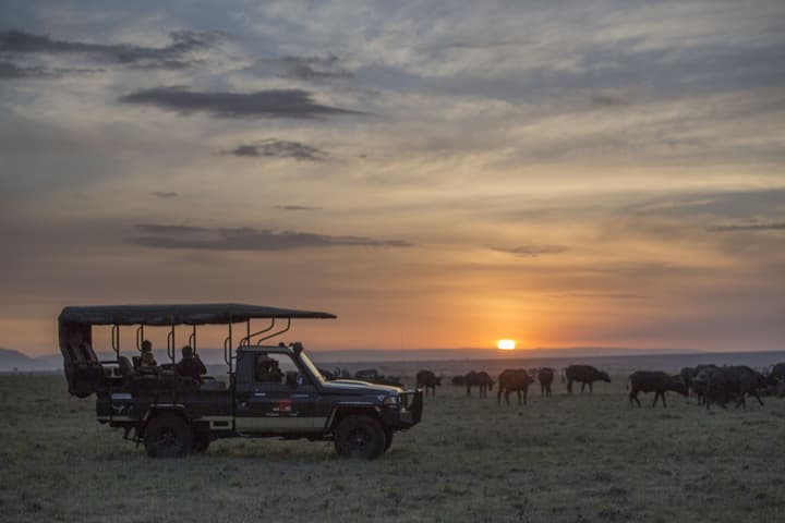 Elewana Elephant Pepper Camp