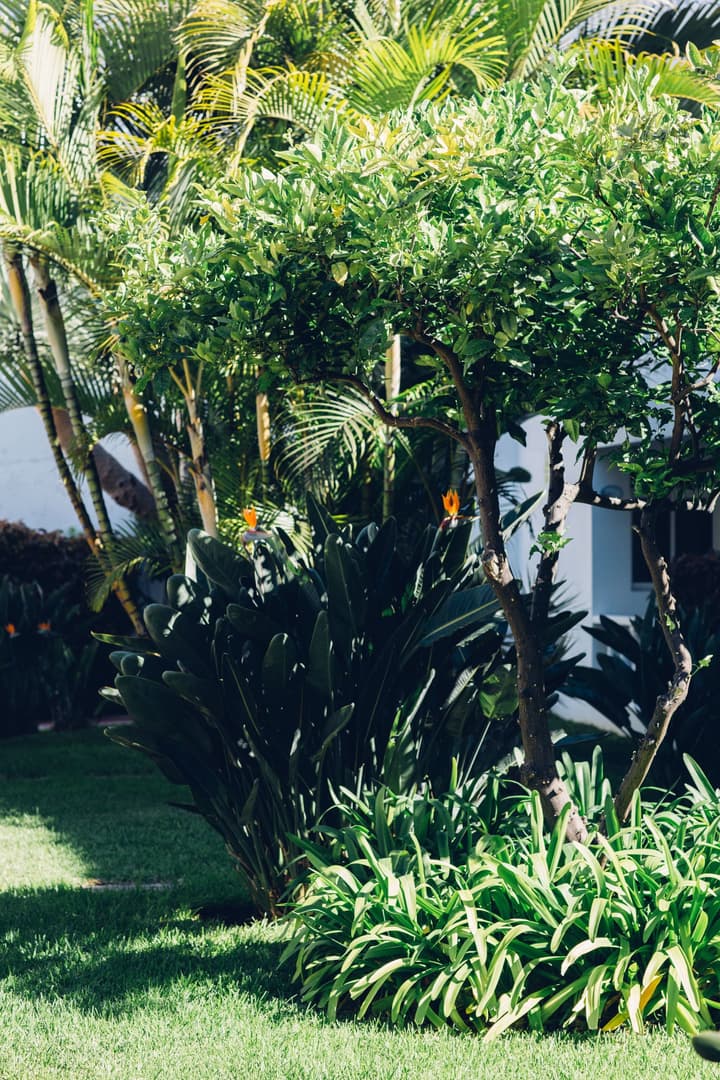 Route Active Hotel