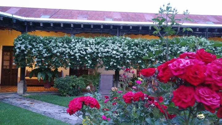 Hotel Aurora