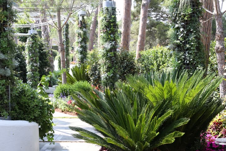 Alàbriga Hotel & Home Suites