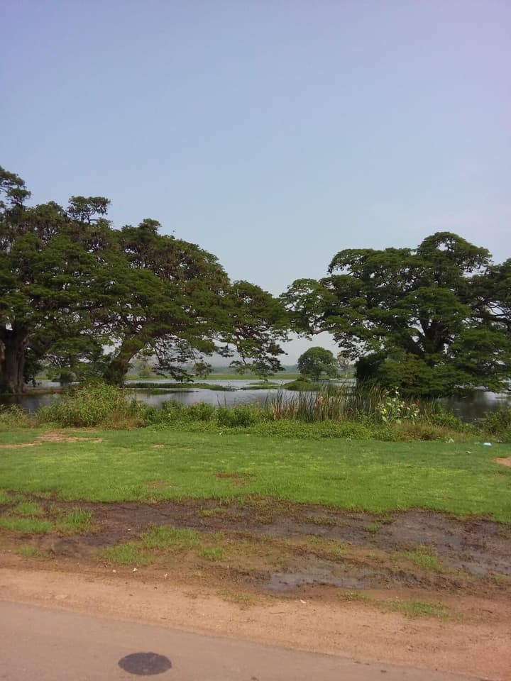 Tissa Resort