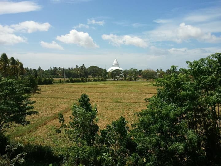 Tissa Resort