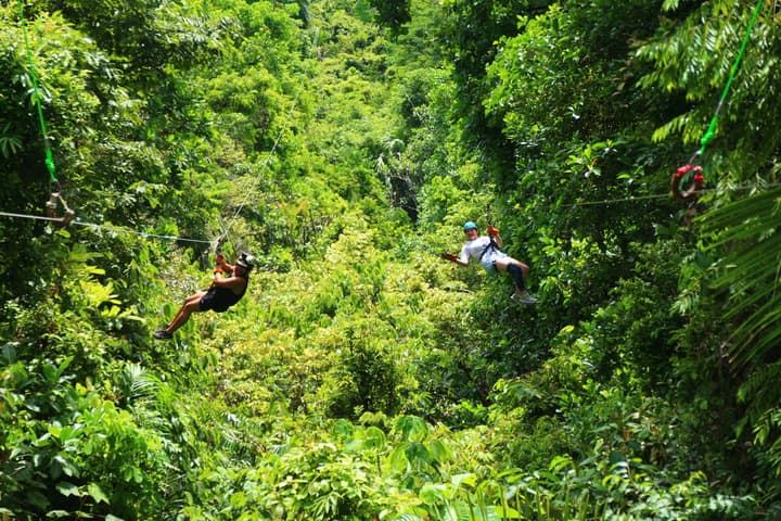La Foresta Nature Resort