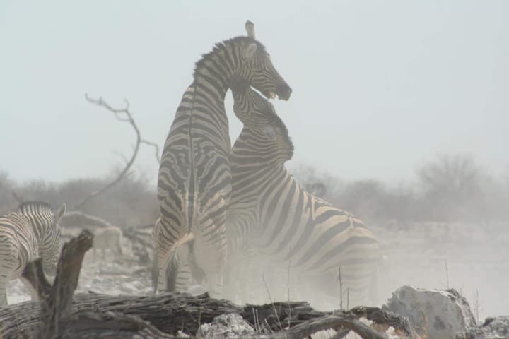 Ijaba Lodge