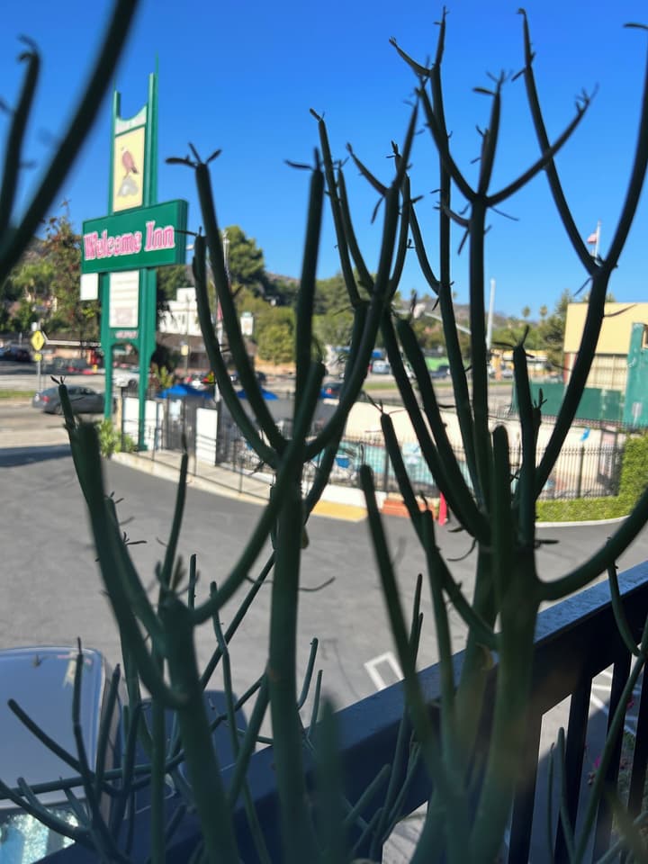 Welcome Inn on Colorado Blvd