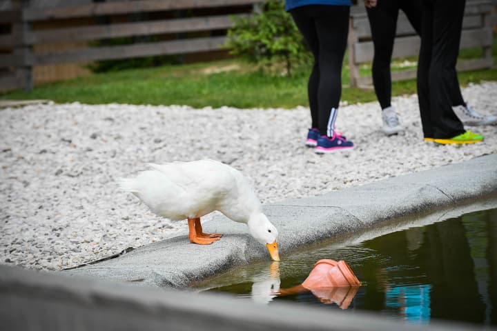 Slovenia Eco Resort
