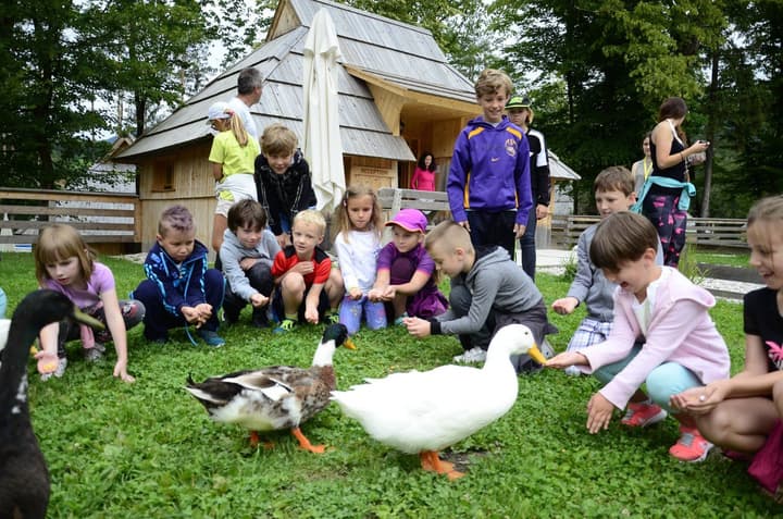Slovenia Eco Resort