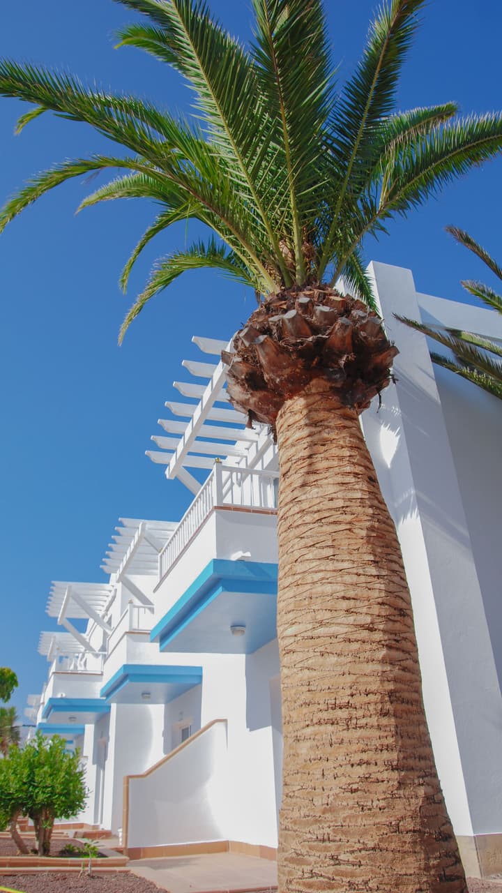 Arena Beach