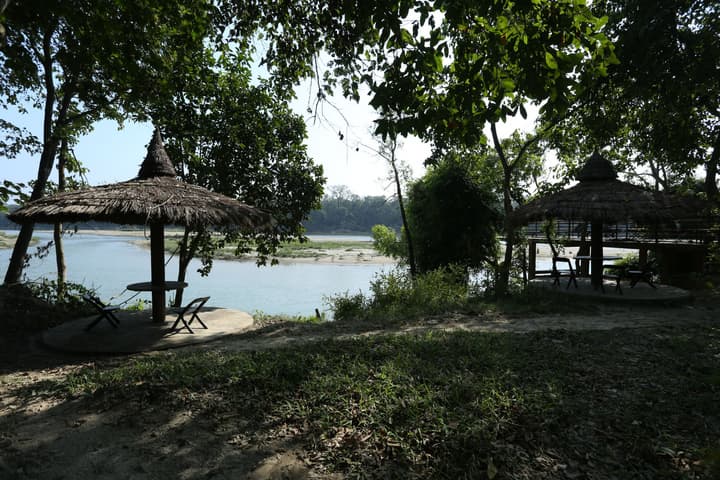Jungle Villa Resort