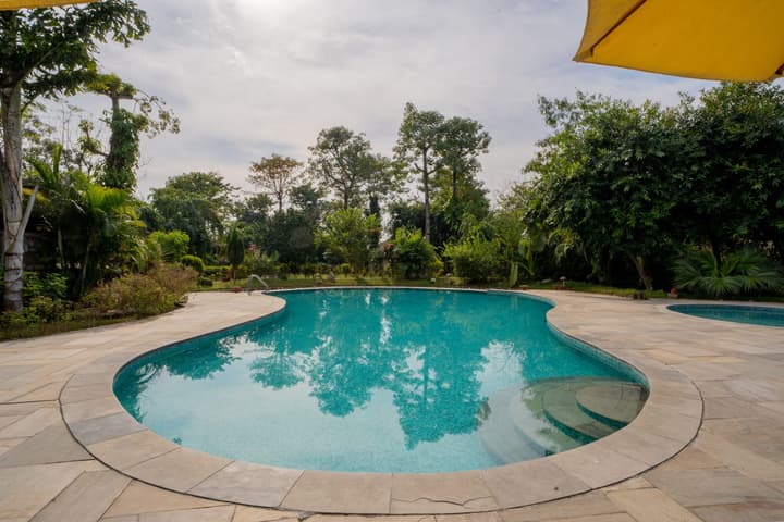 Jungle Villa Resort