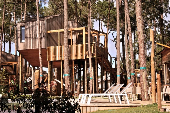 Bukubaki Eco Surf