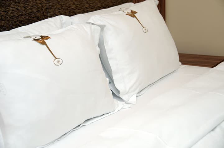 Tehran Boutique Hotel