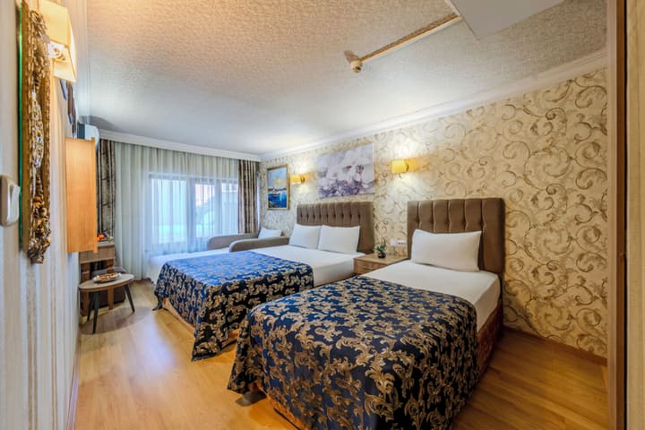 Hamit Hotel İstanbul - Special Category