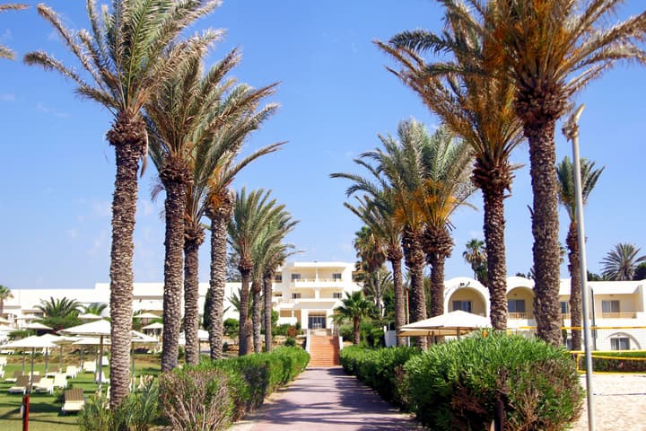 CALIMERA Delfino Beach Resort & Spa - All inclusive