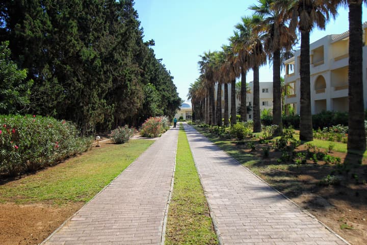 CALIMERA Delfino Beach Resort & Spa - All inclusive