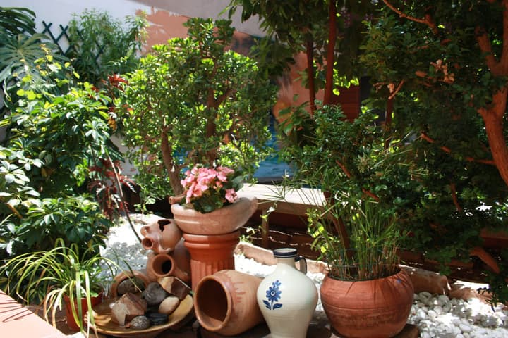 B&B Domus Atilia