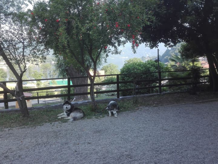 Hotel Bocciolo