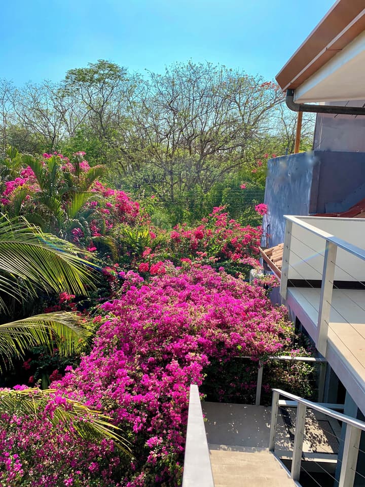 Hotel El Manglar & Cantarana