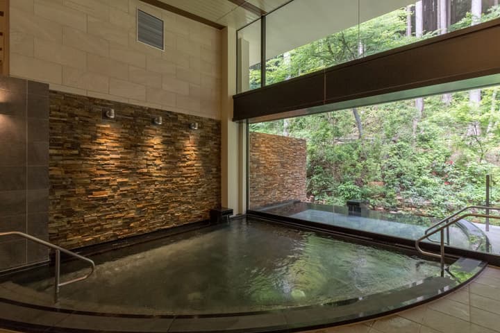 Hotel de Yama, Hakone Lake Side