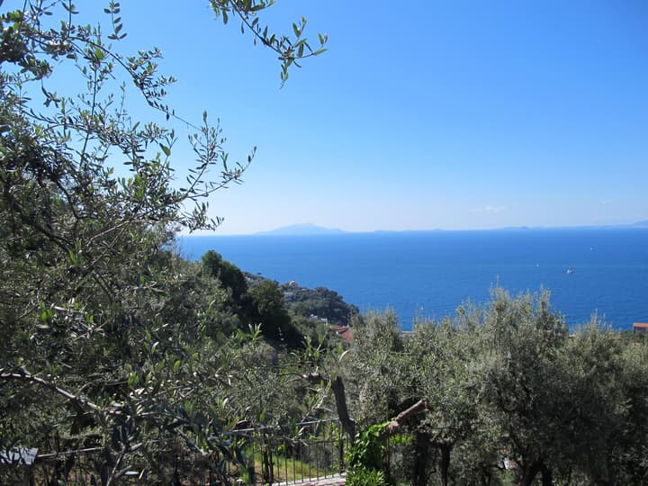 Antonio Massa Lubrense