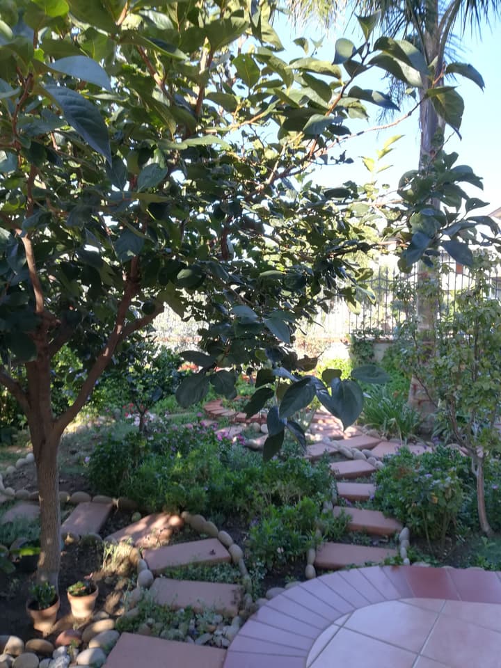 La Collina B&B