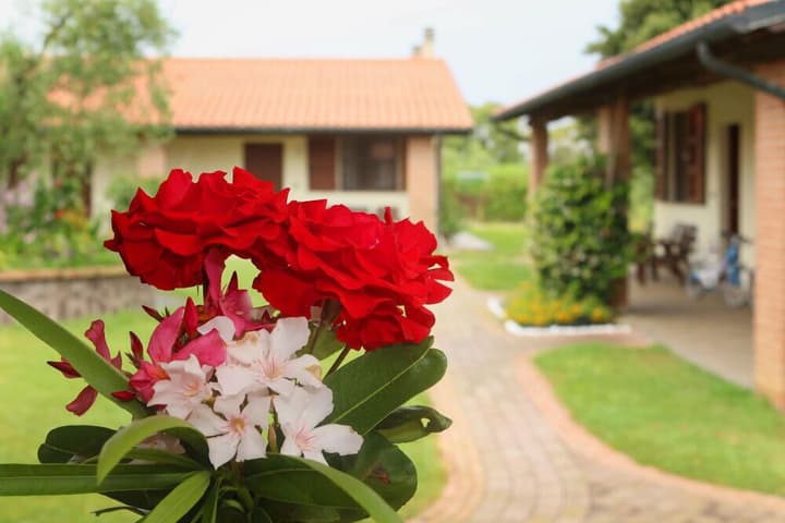 Agriturismo gli Etruschi