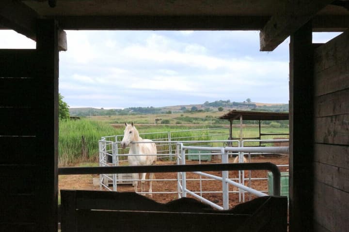 Agriturismo gli Etruschi