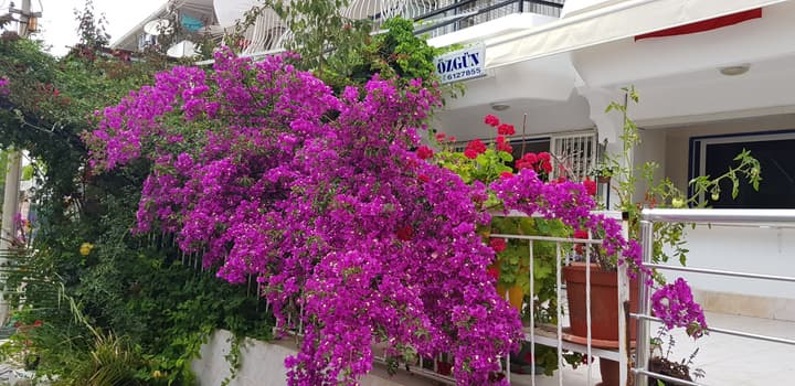 Ozgun Apart Hotel