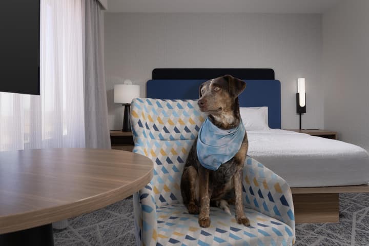 Hampton Inn & Suites Roswell