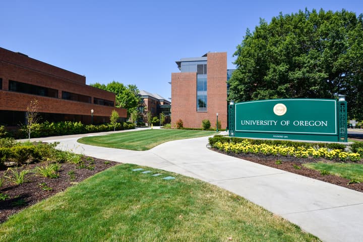 University Inn & Suites