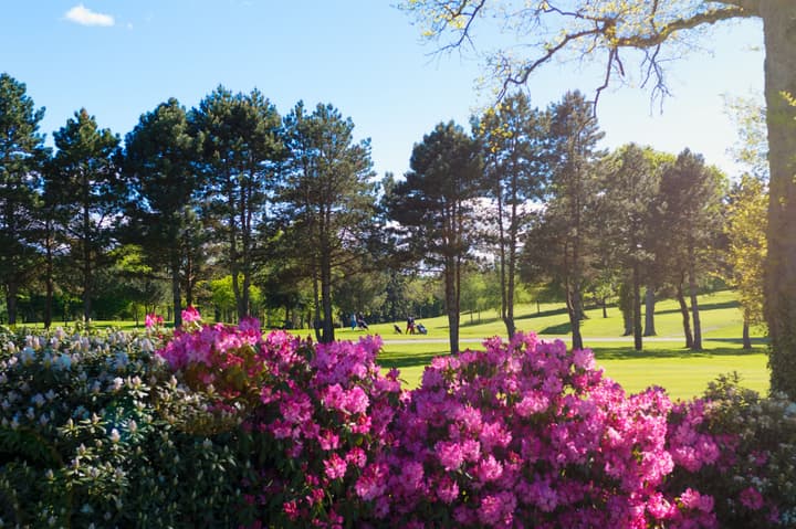 Saint-Malo Golf Resort