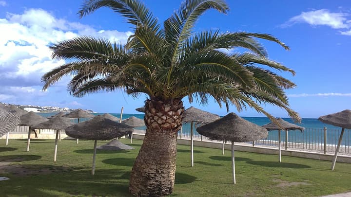 Gran Hotel Costa del Sol